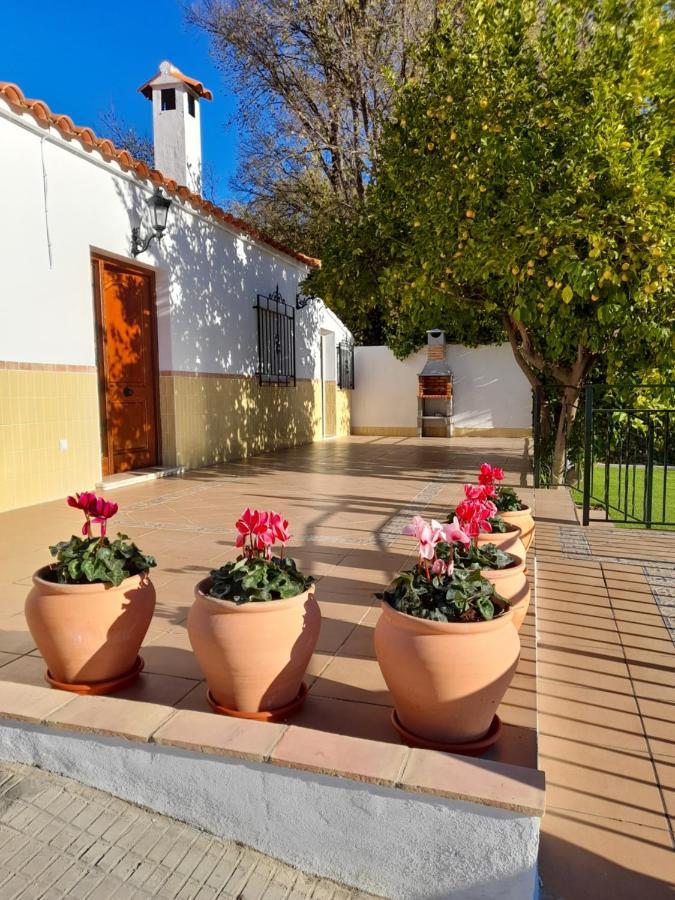 Alojamientos Rurales Villora Murcia Exterior photo